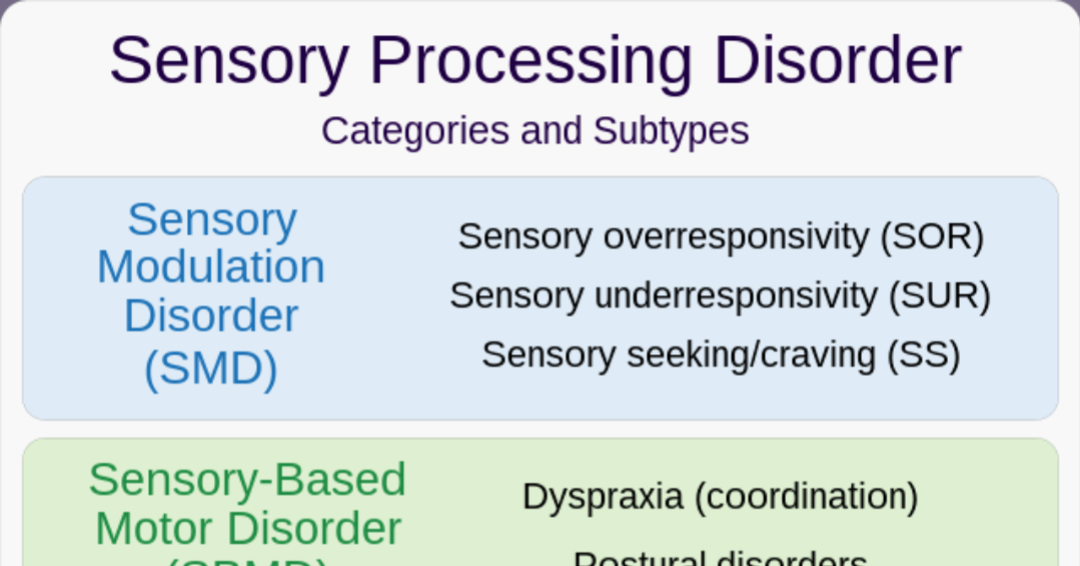 Sensory Processing Preview